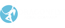 dragonfly-white-blue